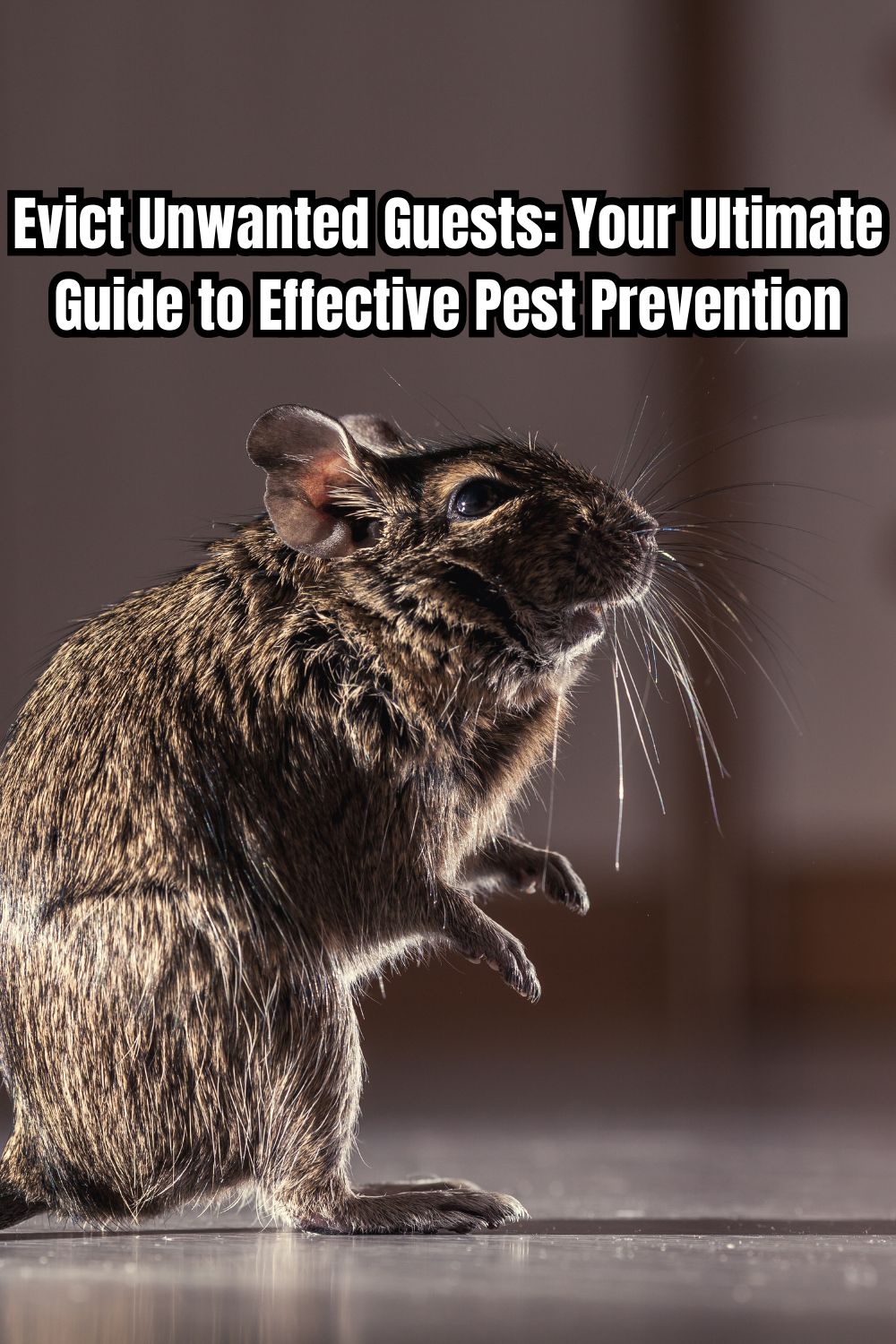 Evict Unwanted Guests Your Ultimate Guide to Effective Pest Prevention 