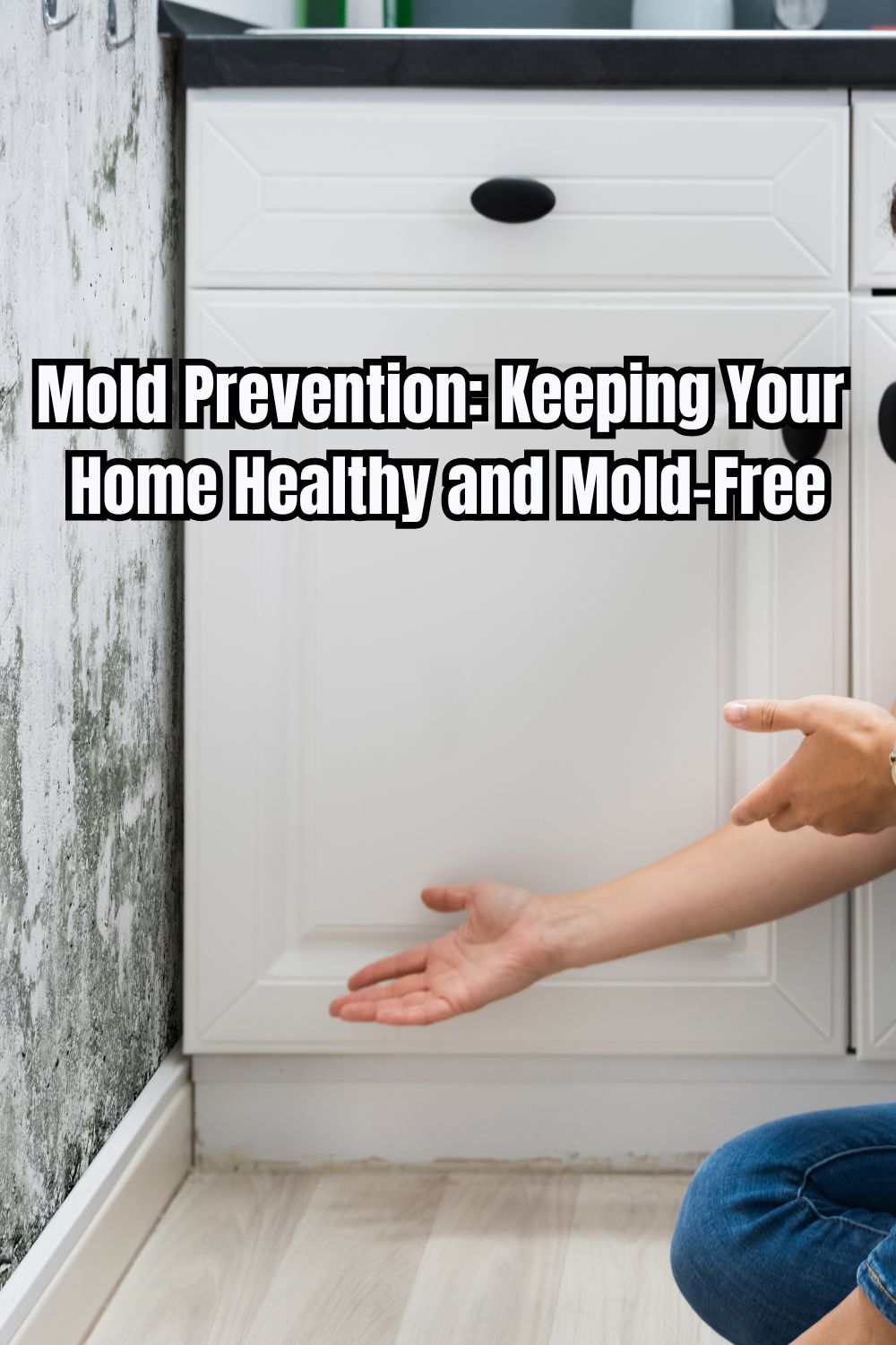 Mold Prevention Keeping Your Home Healthy and Mold-Free