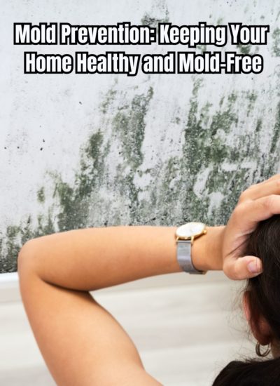 Mold Prevention Keeping Your Home Healthy and Mold-Free