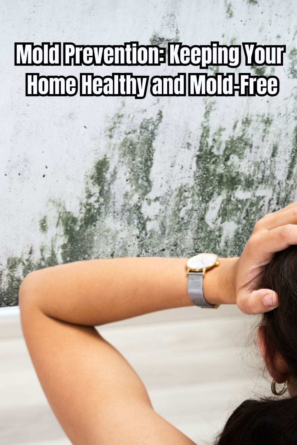 Mold Prevention Keeping Your Home Healthy and Mold-Free