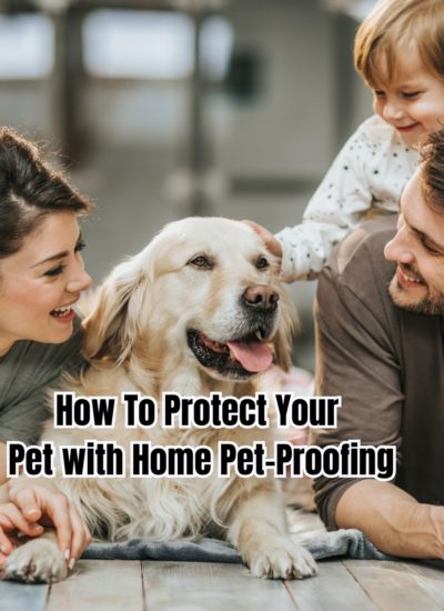 How To Protect Your Pet with Home Pet-Proofing