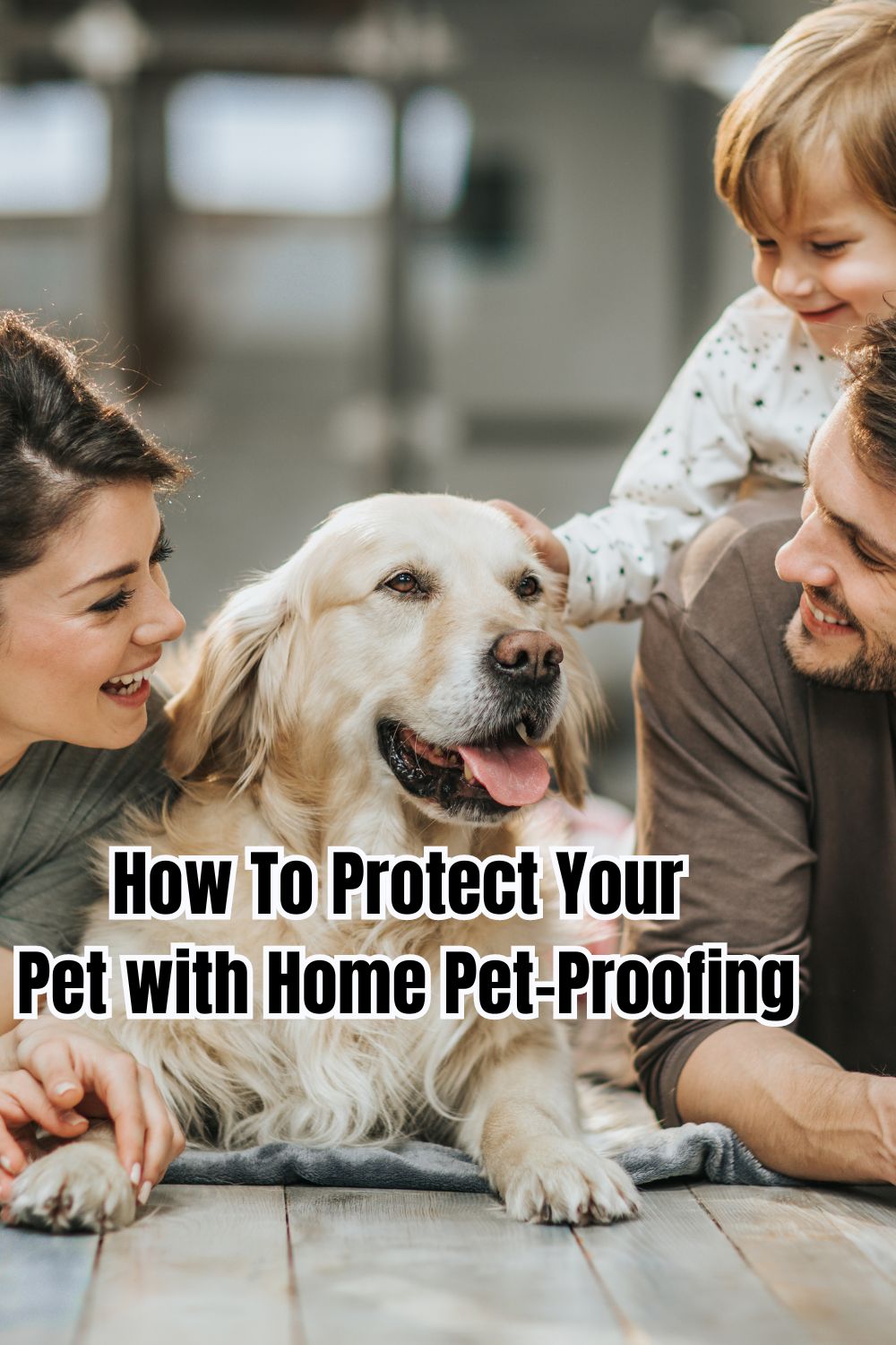 How To Protect Your Pet with Home Pet-Proofing