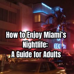 How to Enjoy Miami’s Nightlife A Guide for Adults