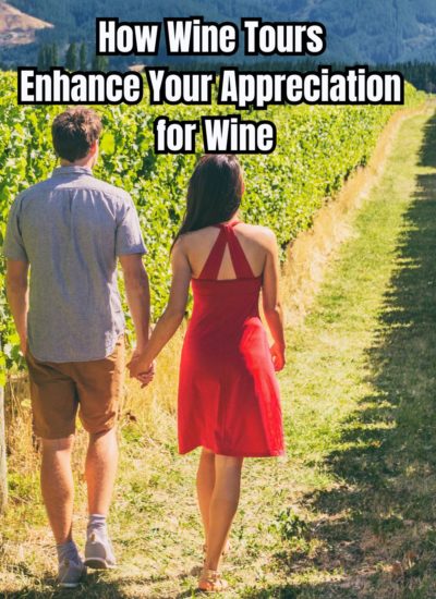 How Wine Tours Enhance Your Appreciation for Wine