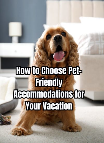 How to Choose Pet-Friendly Accommodations for Your Vacation