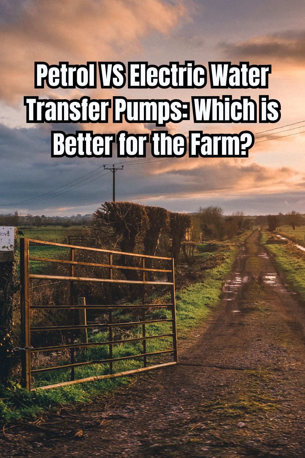 Petrol VS Electric Water Transfer Pumps Which is Better for the Farm