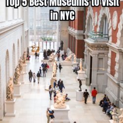 Top 5 Best Museums to Visit in NYC