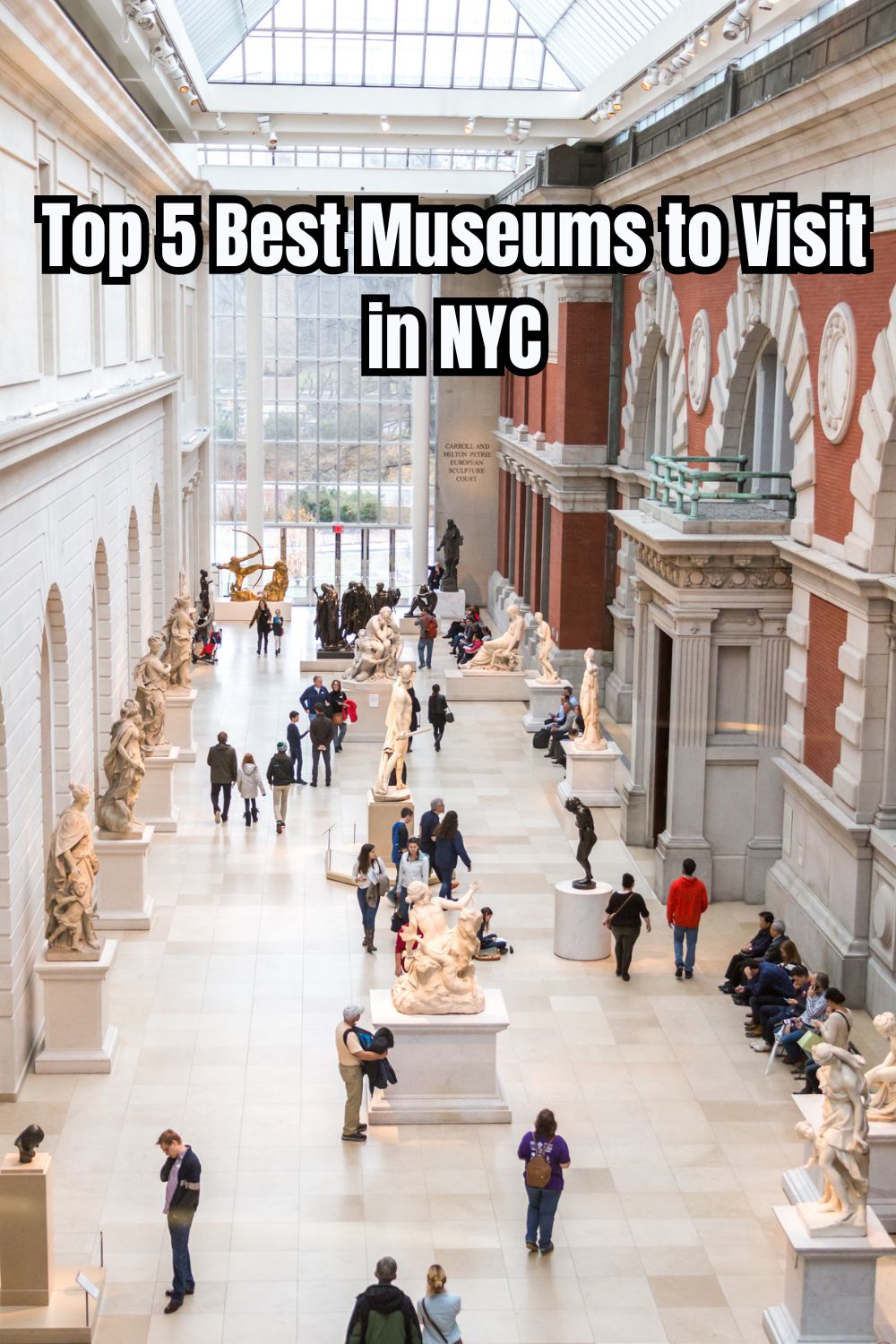 Top 5 Best Museums to Visit in NYC