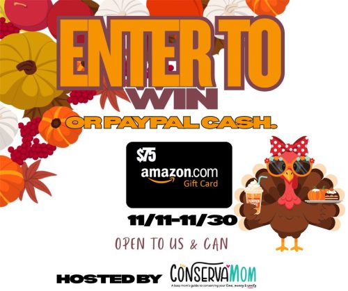 10 Christmas Decoration Ideas + $75 Amazon Gift Card Giveaway (or Paypal Cash)