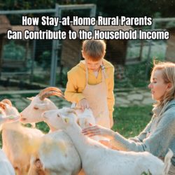 How Stay-at-Home Rural Parents Can Contribute to the Household Income