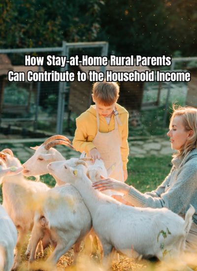 How Stay-at-Home Rural Parents Can Contribute to the Household Income