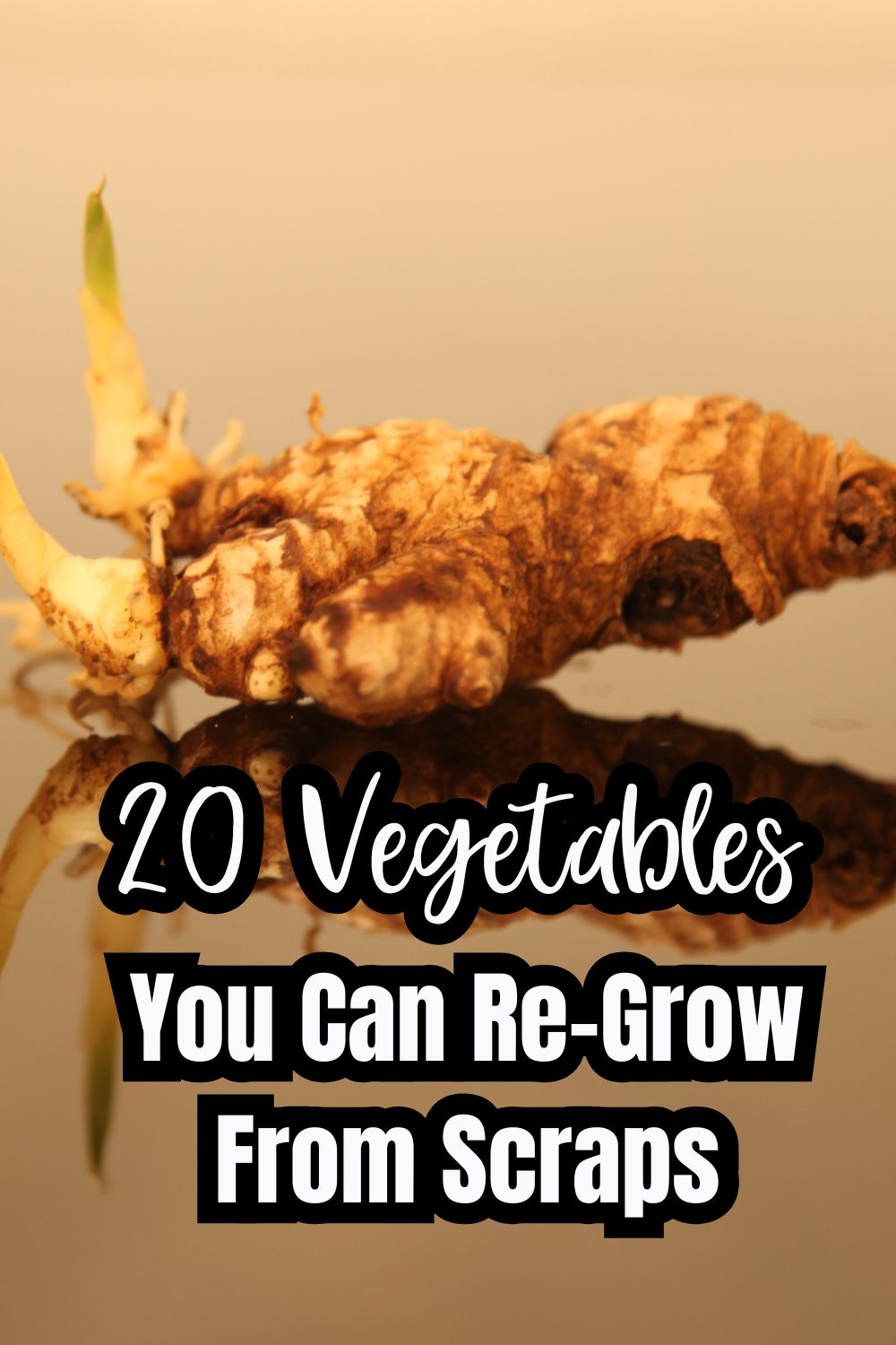 20 Vegetables You Can Re-Grow From Scraps A Sustainable Gardening Guide 