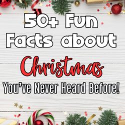 Fun Facts about Christmas