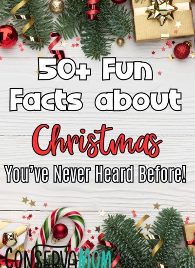 Fun Facts about Christmas