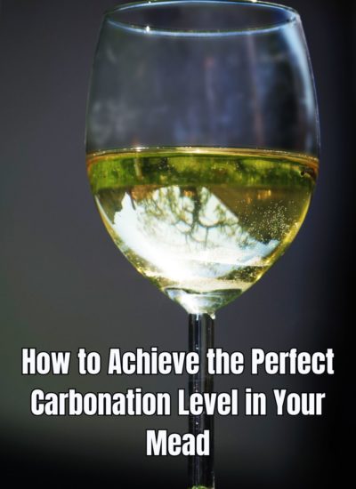 How to Achieve the Perfect Carbonation Level in Your Mead