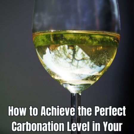 How to Achieve the Perfect Carbonation Level in Your Mead