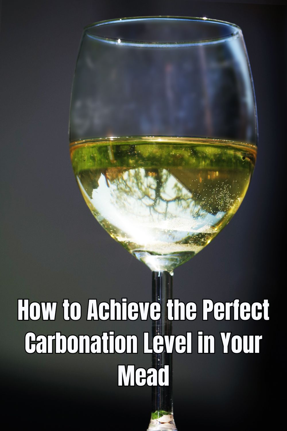 How to Achieve the Perfect Carbonation Level in Your Mead