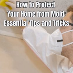 How to Protect Your Home from Mold Essential Tips and Tricks