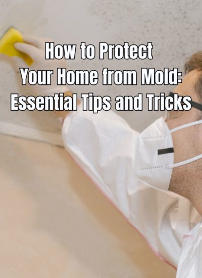 How to Protect Your Home from Mold Essential Tips and Tricks