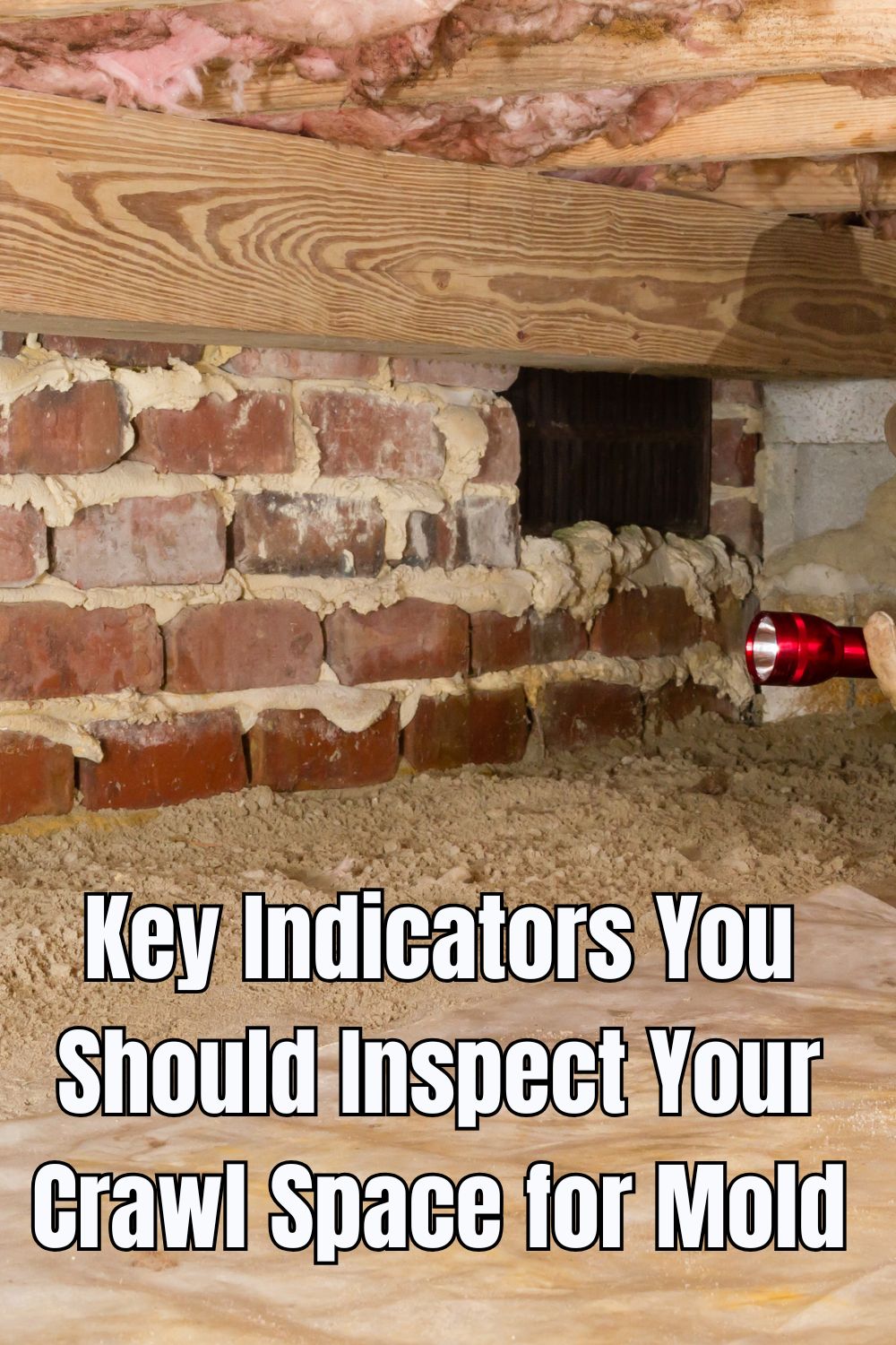 Key Indicators You Should Inspect Your Crawl Space for Mold