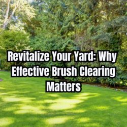 Revitalize your yard why effective brush clearing matters