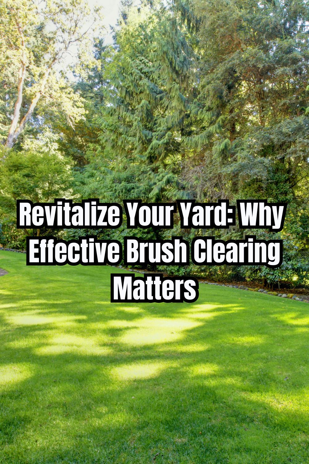 Revitalize your yard why effective brush clearing matters