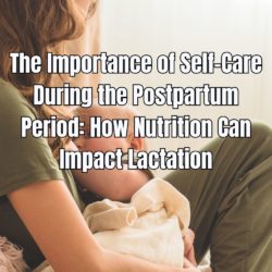 The Importance of Self-Care During the Postpartum Period How Nutrition Can Impact Lactation