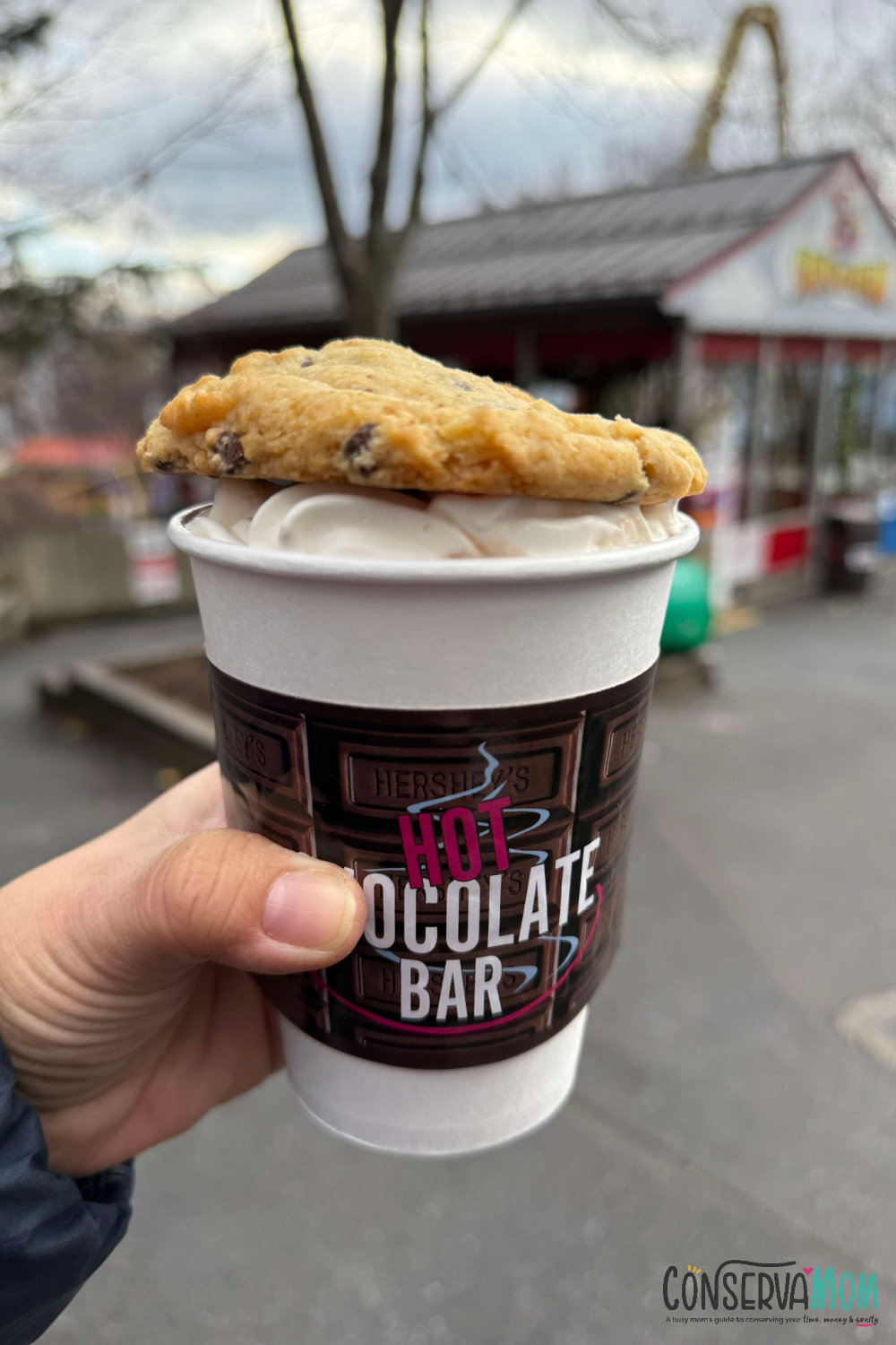 Tips for Visiting Hersheypark During the Holidays 