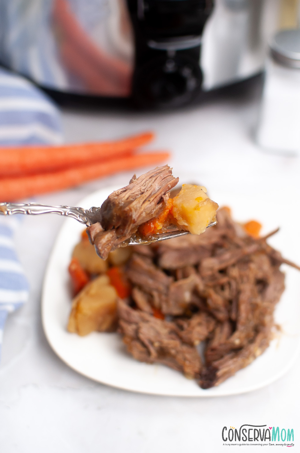 Pot Roast Slow Cooker