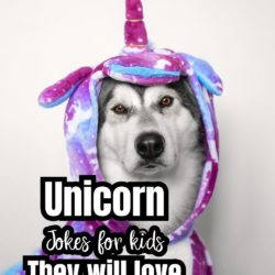 Unicorn Jokes for kids They will love