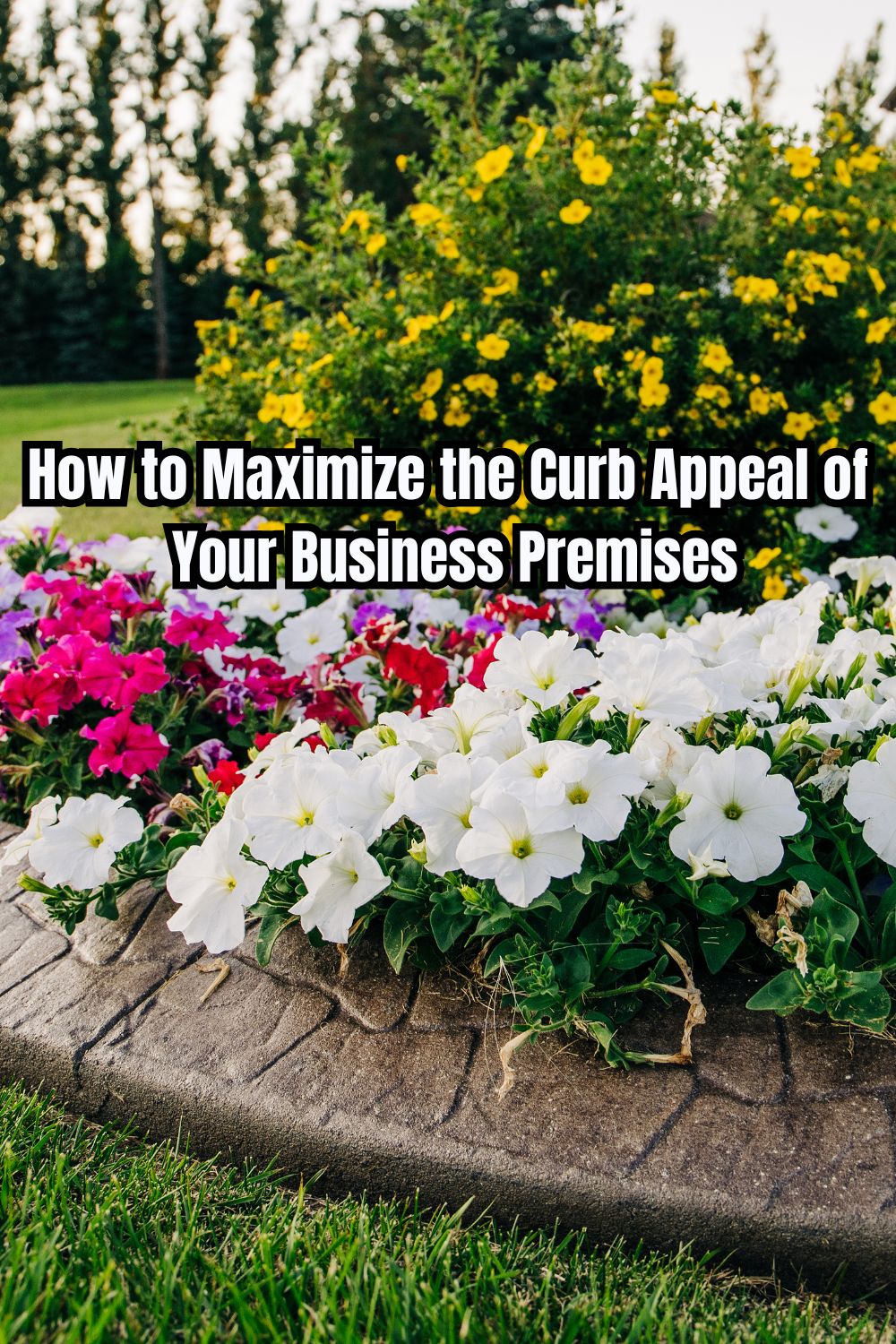 How to Maximize the Curb Appeal of Your Business Premises