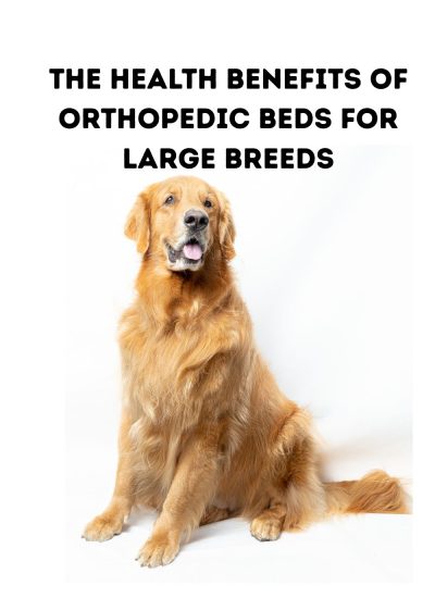 The Health Benefits of Orthopedic Beds for Large Breeds