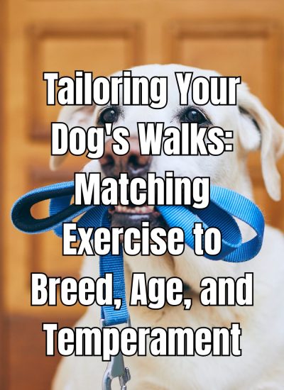 Tailoring Your Dog's Walks Matching Exercise to Breed, Age, and Temperament