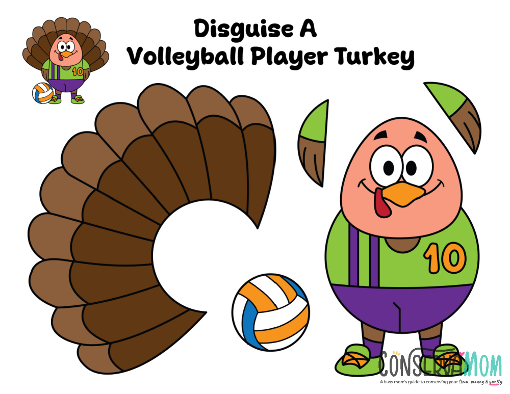 disguise a volleyball player turkey