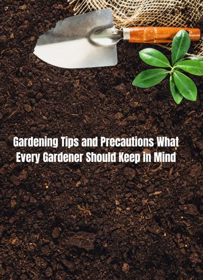 Gardening Tips and Precautions What Every Gardener Should Keep in Mind