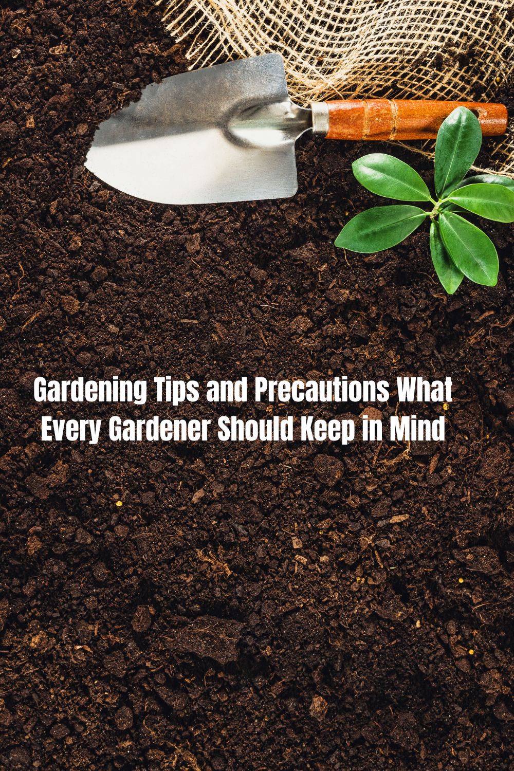 Gardening Tips and Precautions What Every Gardener Should Keep in Mind