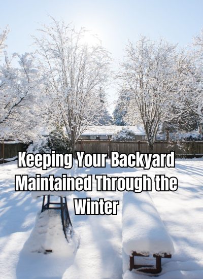 Keeping Your Backyard Maintained Through the Winter