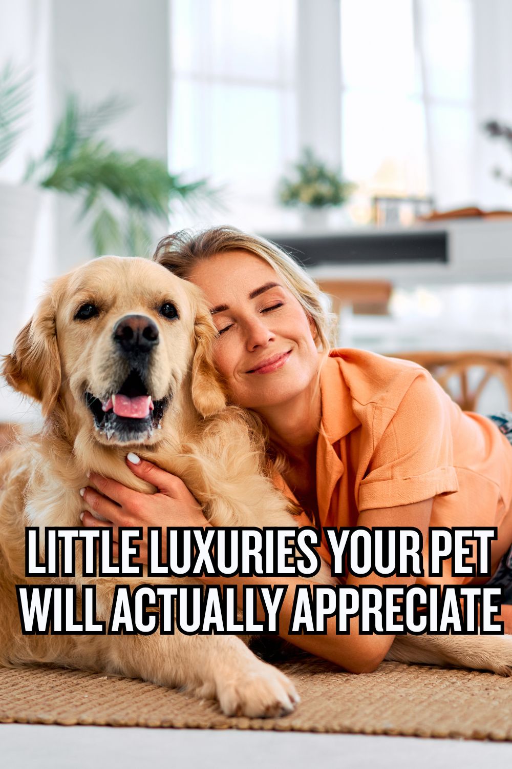 Little Luxuries Your Pet Will Actually Appreciate