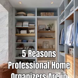 5 Reasons Professional Home Organizers Are in High Demand Today