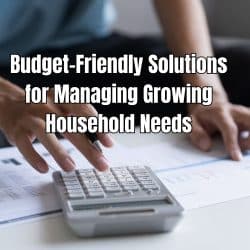 Budget-Friendly Solutions for Managing Growing Household Needs