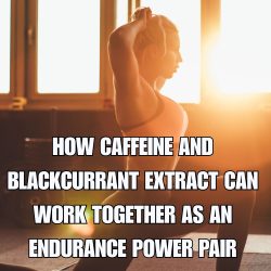 How Caffeine and Blackcurrant Extract Can Work Together as an Endurance Power Pair (1)