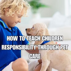 How to Teach Children Responsibility Through Pet Care