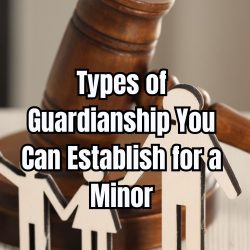 Types of Guardianship You Can Establish for a Minor