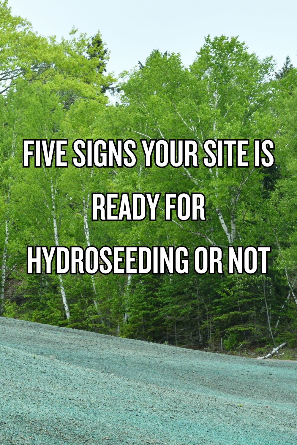 Five Signs Your Site Is Ready for Hydroseeding or Not