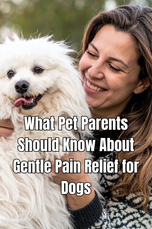 Curated visual reference: Fresh Look at What Pet Parents Should Know About Gentle Pain Relief For
