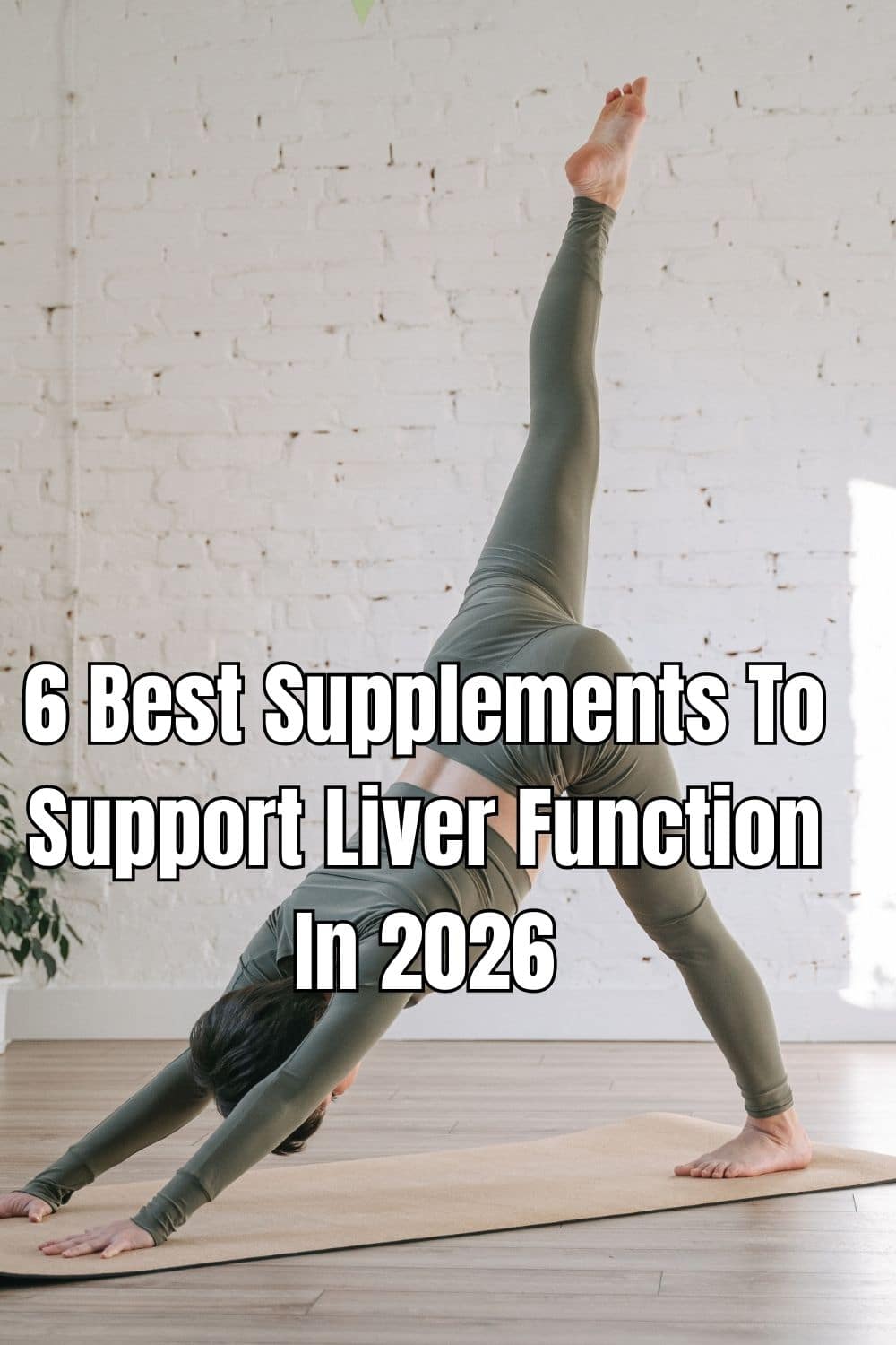 6 Best Supplements To Support Liver Function In 2026