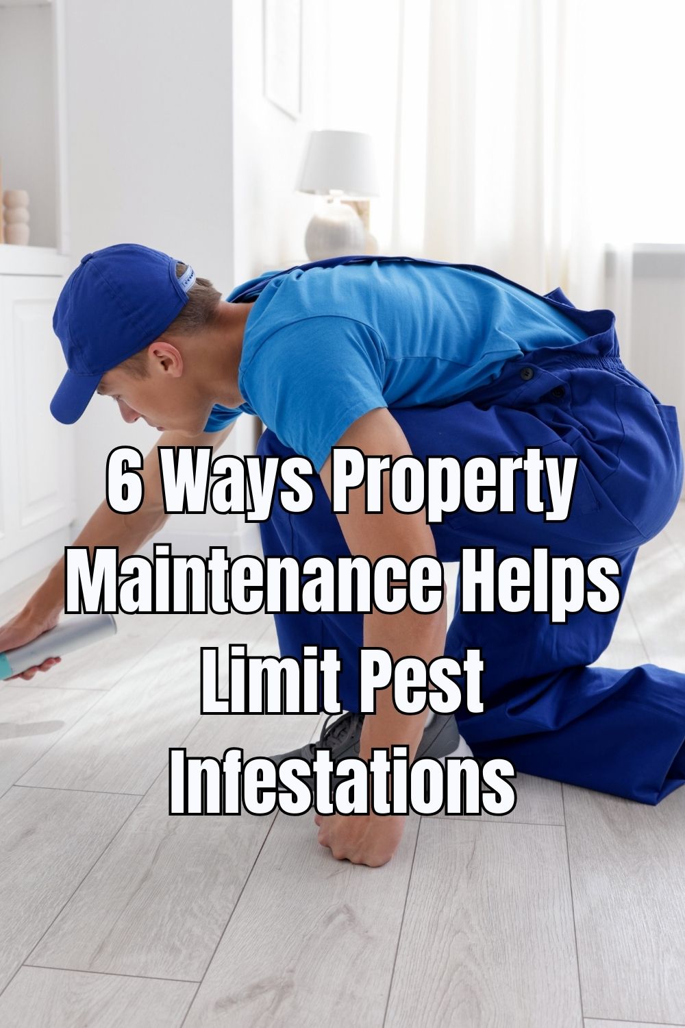 6 Ways Property Maintenance Helps Limit Pest Infestations