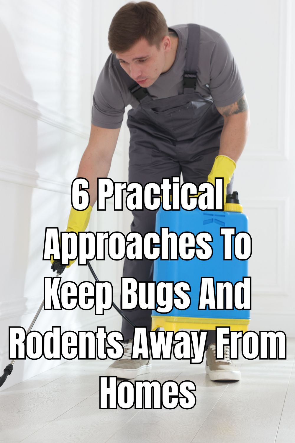 6 Practical Approaches To Keep Bugs And Rodents Away From Homes