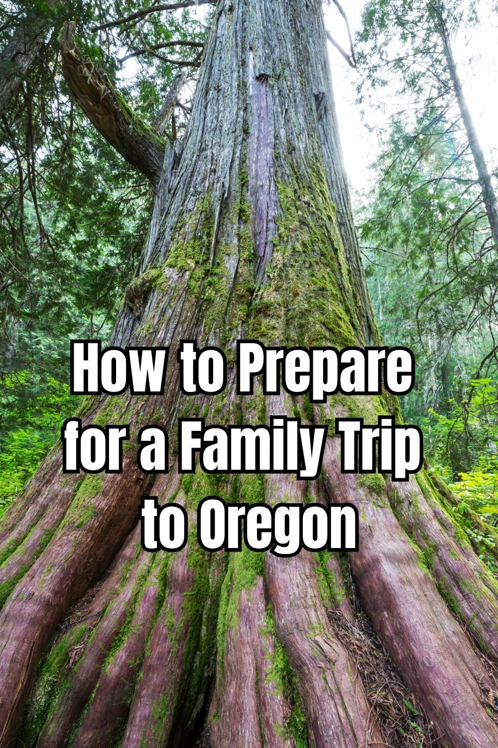 How to Prepare for a Family Trip to Oregon