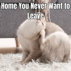 Here’s How to Create a Home You Never Want to Leave